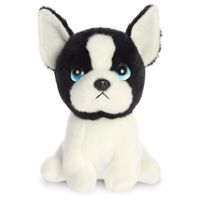 Petites Harvard Boston Terrier Dog