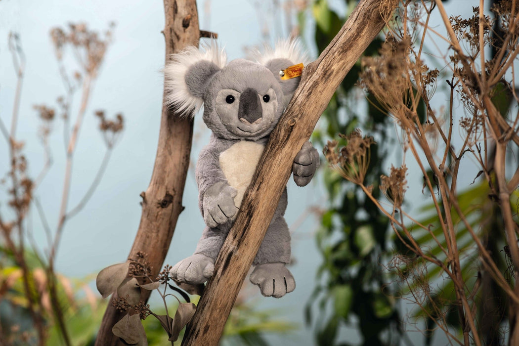 Steiff Nils Koala Plush 30cm – Front View  
